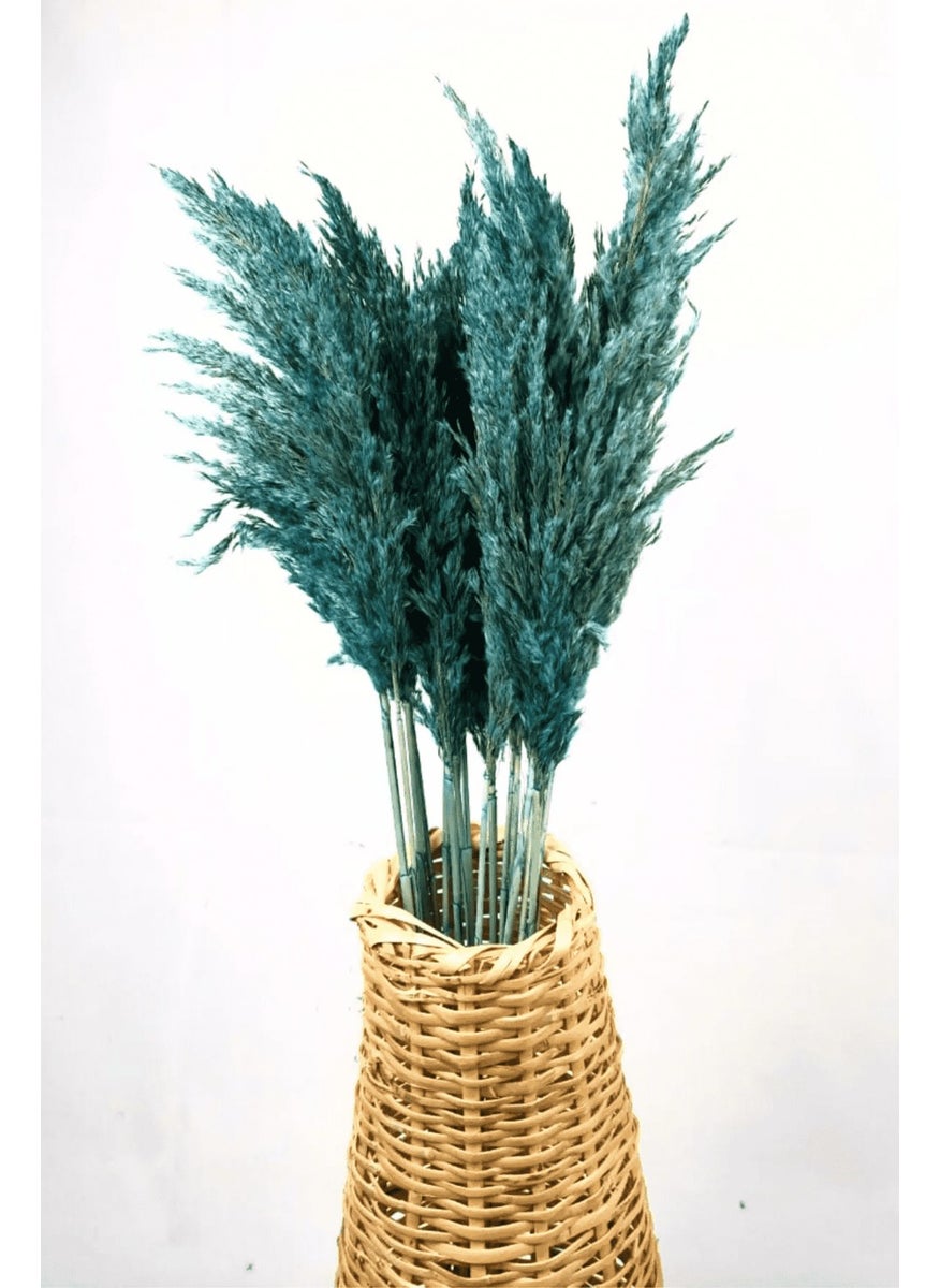 Alyones - Shocked Colored Pampas Bundle Set of 10 - Image 1