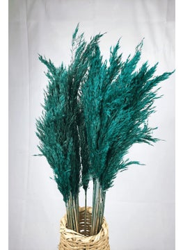Shocked Colored Pampas Bundle Set of 10
