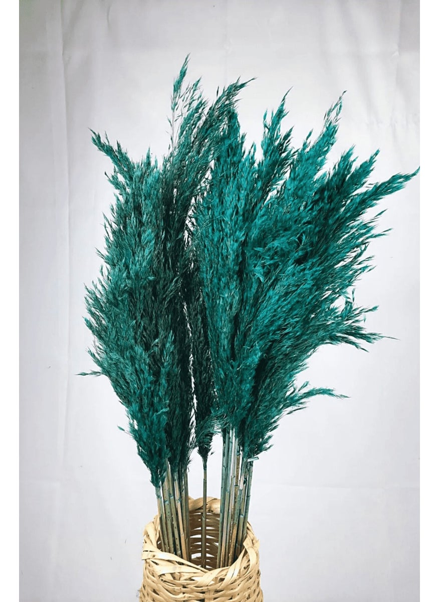 Alyones - Shocked Colored Pampas Bundle Set of 10 - Image 1
