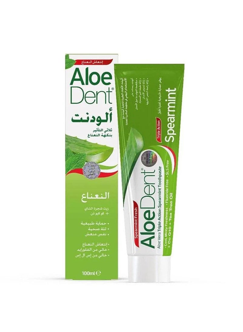 Aloedent, Triple Action Cool Mint Toothpaste - 100 ml - Image 1