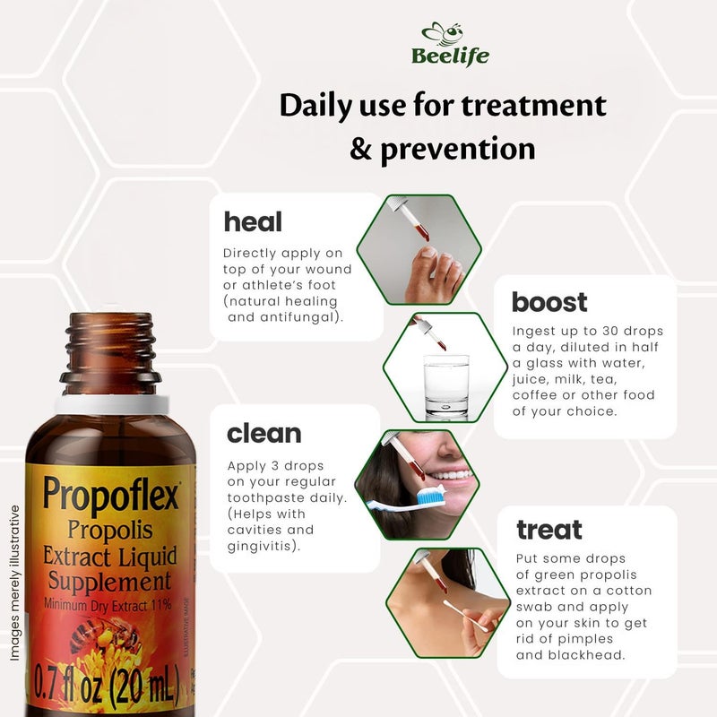 Beelife Brazilian Green Propolis Extract 11 Dry ExtractBee Propolis Tincture High ArtepillinC Levels  Natural  Kosher Antioxidant Rich Supplement for Health Wellness Propolis Drops 20ml - Image 4