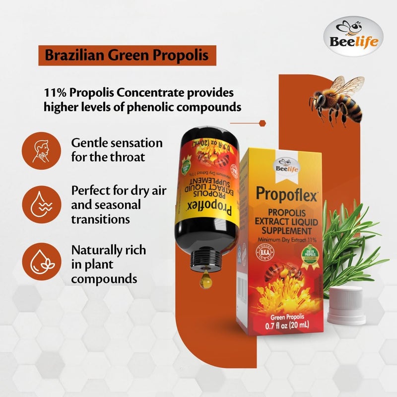 Beelife Brazilian Green Propolis Extract 11 Dry ExtractBee Propolis Tincture High ArtepillinC Levels  Natural  Kosher Antioxidant Rich Supplement for Health Wellness Propolis Drops 20ml - Image 2
