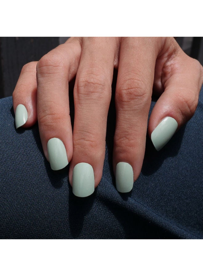 NODSPARK Classic Minty Sage - Image 3