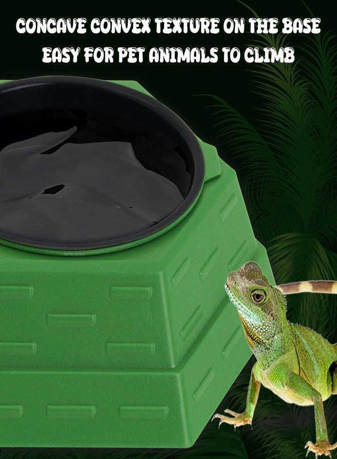 APlayfulBee Reptile Feeder Bowl Worm Dish Anti-Escape Food Dish Bowl with 2PCS Feeding Box, Food Water Feeder for Crested Gecko Lizard Chameleon Pets, Reptile Terrarium Tank Accessories (M) - Image 5