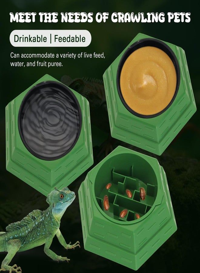APlayfulBee Reptile Feeder Bowl Worm Dish Anti-Escape Food Dish Bowl with 2PCS Feeding Box, Food Water Feeder for Crested Gecko Lizard Chameleon Pets, Reptile Terrarium Tank Accessories (M) - Image 4