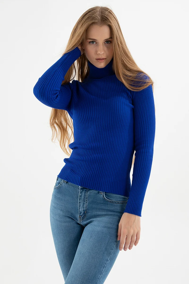 Fashion Friends Ribbed Turtleneck Sweater Women's Sweater 23K0288K1