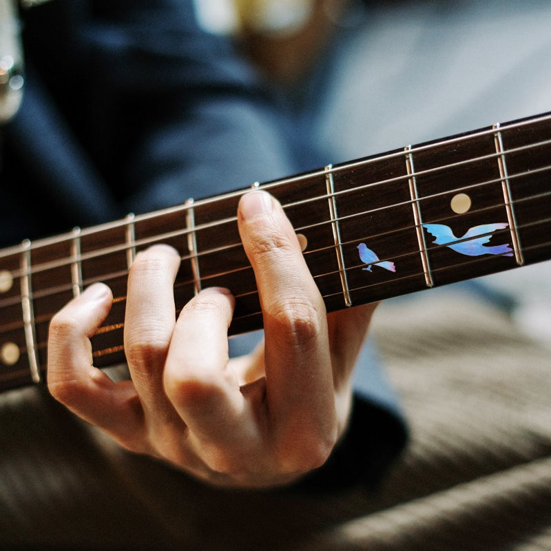 🎸 ملصقات لوحة مفاتيح الجيتار بتصميم طائر مبتكر - Image 4