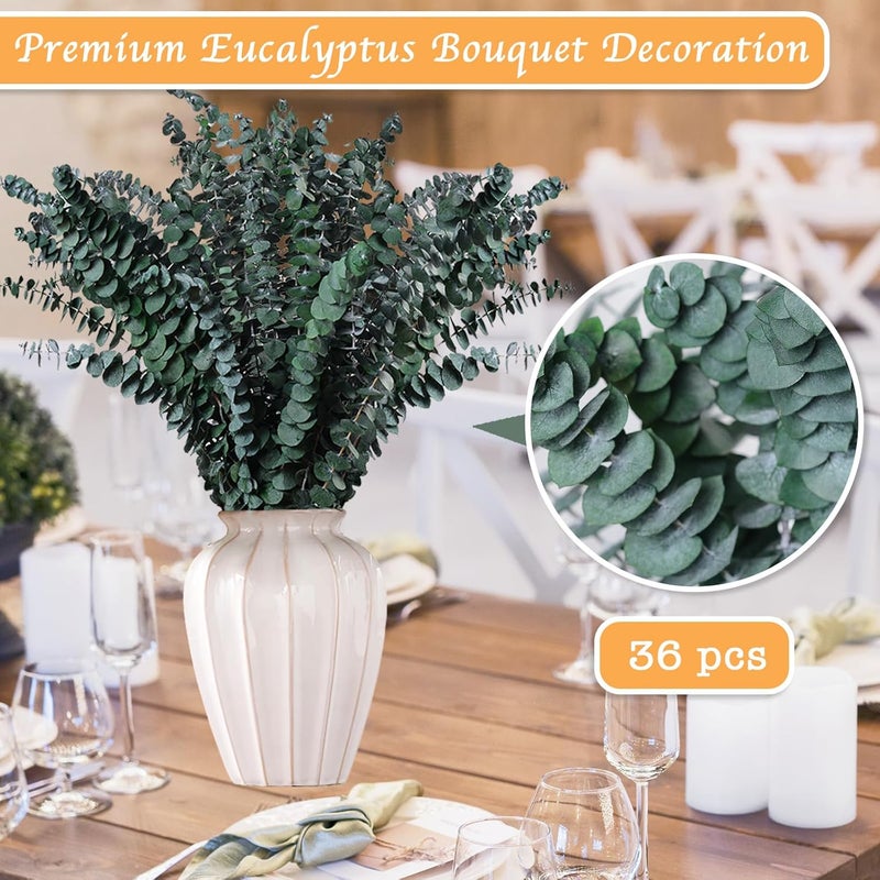 Koceko 36 Pcs Dried Eucalyptus for Shower Hanging - 17'' Real Large Preserved Eucalyptus Stems Green Home Decor, 100% Made from Fresh Eucalyptus Leaves, Bathroom Shower Decor, Wedding, DIY - Image 3