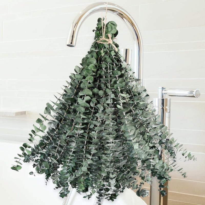 Koceko 36 Pcs Dried Eucalyptus for Shower Hanging - 17'' Real Large Preserved Eucalyptus Stems Green Home Decor, 100% Made from Fresh Eucalyptus Leaves, Bathroom Shower Decor, Wedding, DIY - Image 1