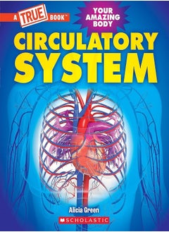 Circulatory System 