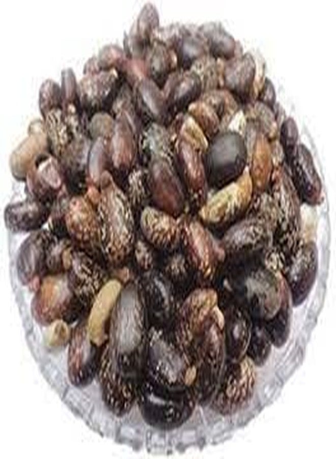 VedoMax Arandi Beej | Castor Seeds | Arandi Ke Beej | (200 gm) - Image 4