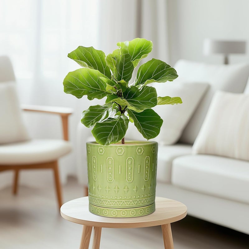 Eightpot 8 Inch Plant Pots - Ceramic Planter for Indoor Plants Outdoor, Round Ceramic Flower Pots with Drainage Hole and Saucer, Boho Decorative Planter, Home Bedroom Decor, Birthday Gifts, Green - Image 5