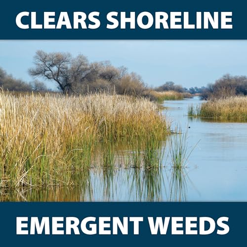 Airmax Shoreline Defense Emergent Weed Control Concentrated Treatment, Aquatic Herbicide (Glyphosate) for Phragmites, Pond Grass & Cattails, 1 Quart - Image 5