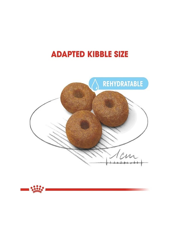 رويال كانين طعام جاف رويال كانين ماكسي ستارتر للكلاب الأم والطفل، 26-44 كجم، 15 كجم - Image 2