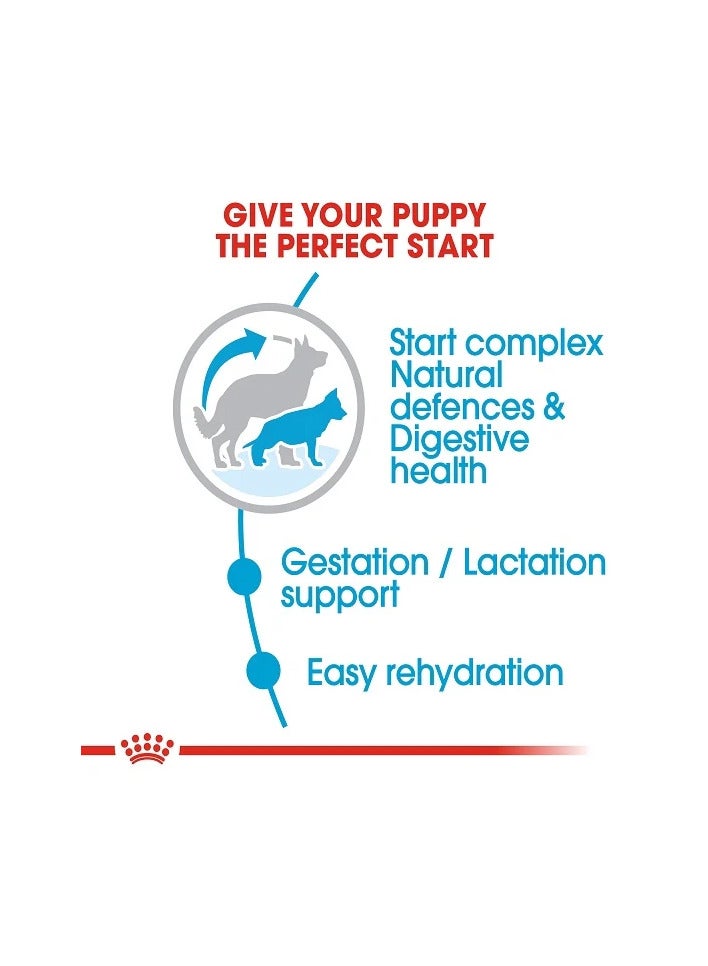 رويال كانين طعام جاف رويال كانين ماكسي ستارتر للكلاب الأم والطفل، 26-44 كجم، 15 كجم - Image 4