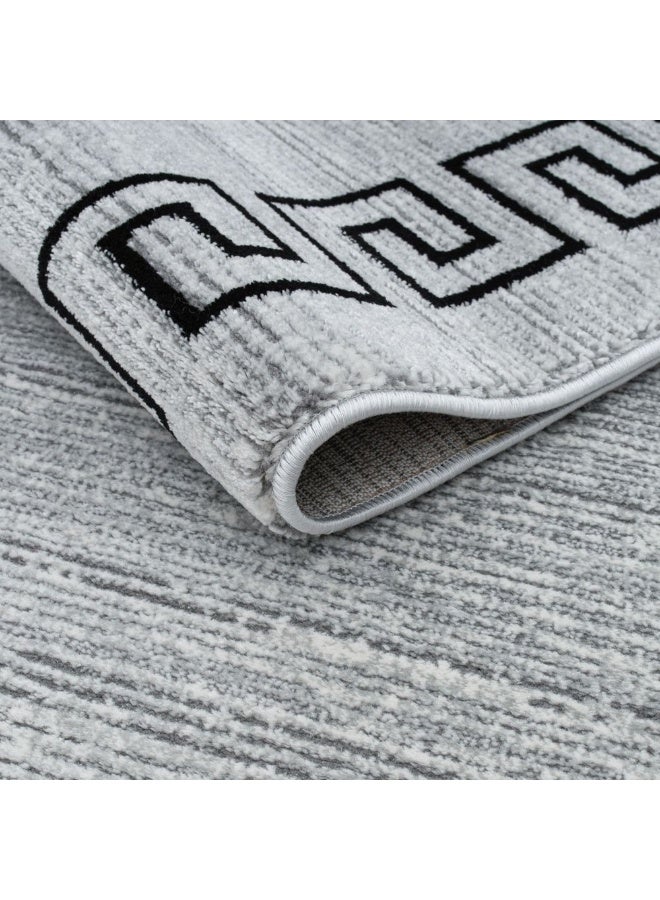 DANUBE HOME Harmony Contemporary Rug  | Washable Contemporary Rugs Style | Polypropylene + Polyester Area Rug Floor Covering | Indoor Carpet For Living Room Dining Bedroom 200X300cm-Grey - Image 3