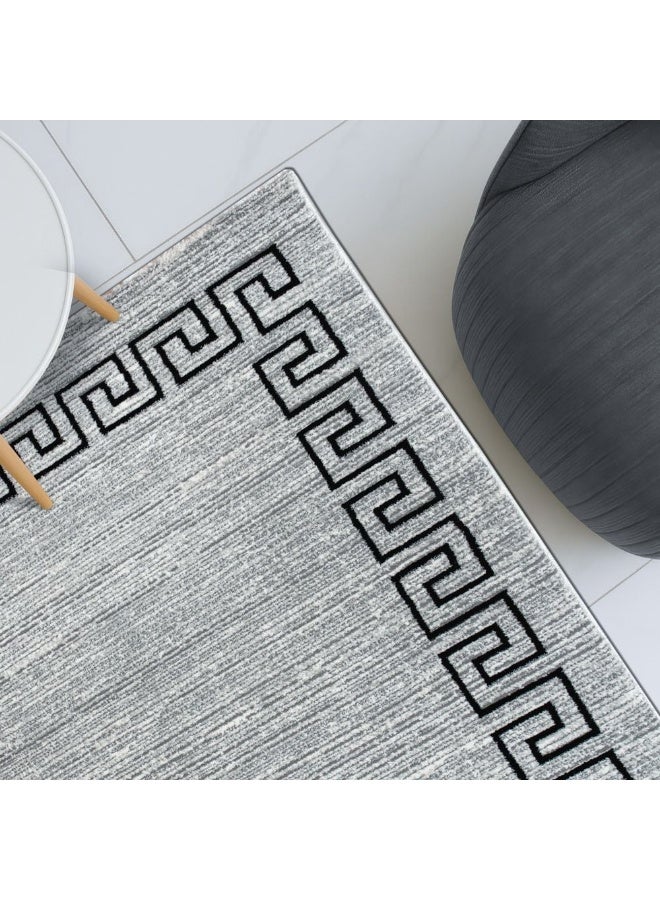 DANUBE HOME Harmony Contemporary Rug  | Washable Contemporary Rugs Style | Polypropylene + Polyester Area Rug Floor Covering | Indoor Carpet For Living Room Dining Bedroom 200X300cm-Grey - Image 1