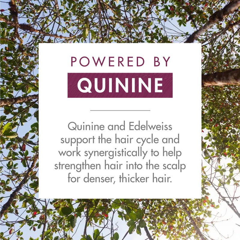 Klorane - Strengthening Shampoo - with Quinine & Edelweiss For Thinning Hair - Support Thicker Hair - Silicone, Paraben & Sulfate Free - 13.5 fl. oz. - Image 3