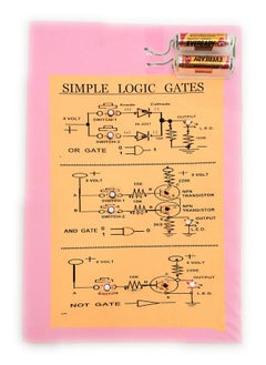 StepsToDo Simple Logic Gates (OR + and + NOT) Demonstration Handmade Project. Ready for Use Pre-Assembled Kit.