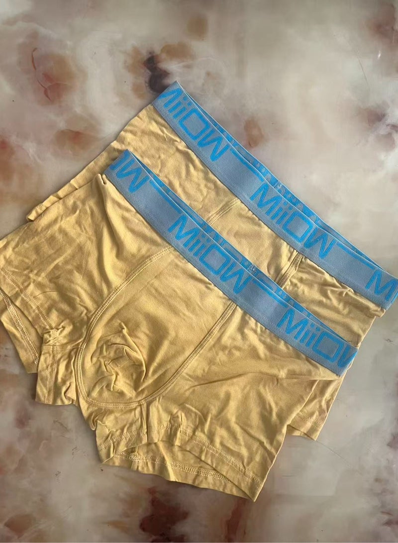 كيتي مان ملابس داخلية رياضية للرجال من Miiow Boxed، عبوة من قطعتين، أصفر - Image 2