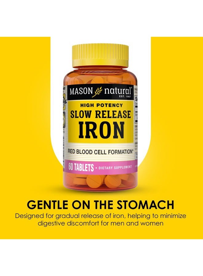 MASON Naturals Iron 50 mg Slow Release-60 Tablets - Image 4