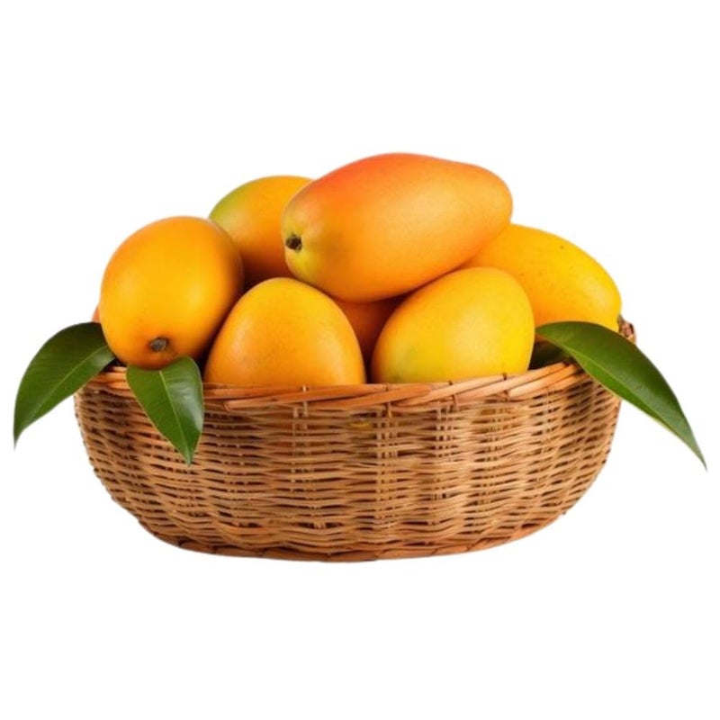 SINGAA Artificial Fruits for Home,Car,Fruit Shop,Photography Decoration and Kids Teaching Materials∣ Apple∣ Orange∣ Grapes ∣ Pomegranate∣ Mango∣ Banana (Pack of 5) (Mango) - Image 3
