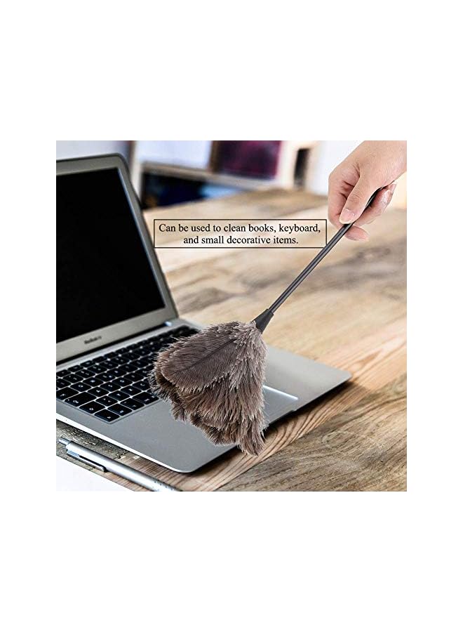 erorex Ostrich Feather Duster, Mini Handmade Long Handle Soft Ostrich Cleaning Duster For Dusting Household Ornaments, Fan Blades - Image 4