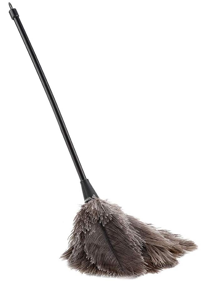 erorex Ostrich Feather Duster, Mini Handmade Long Handle Soft Ostrich Cleaning Duster For Dusting Household Ornaments, Fan Blades - Image 1