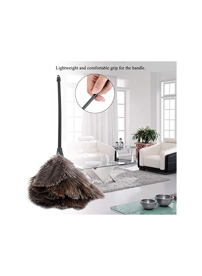 erorex Ostrich Feather Duster, Mini Handmade Long Handle Soft Ostrich Cleaning Duster For Dusting Household Ornaments, Fan Blades - Image 3