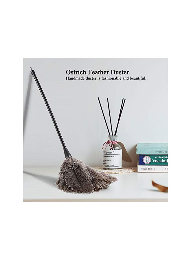 erorex Ostrich Feather Duster, Mini Handmade Long Handle Soft Ostrich Cleaning Duster For Dusting Household Ornaments, Fan Blades - Image 2