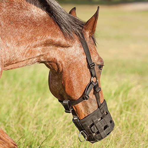 Cashel Company Grazing Muzzle Halter Black Horse - Image 1