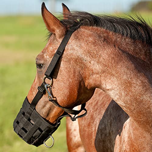 Cashel Company Grazing Muzzle Halter Black Horse - Image 2
