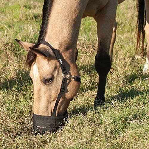 Cashel Company Grazing Muzzle Halter Black Horse - Image 3