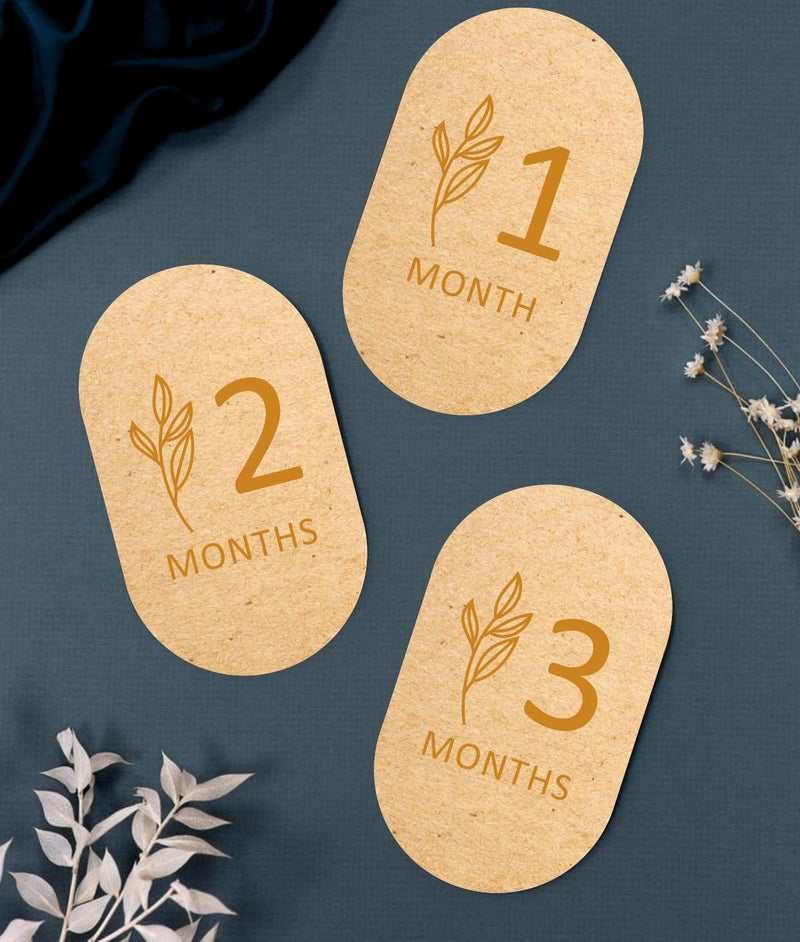 SVM CRAFT بطاقات milestones الشهرية للأطفال - 12 بطاقة milestones شهرية من خشب البتولا الخفيف من حديثي الولادة حتى 1 سنة - أدوات تصوير شهرية للأطفال - هدايا حديثي الولادة للبنات أو الأولاد، ملصقات milestones للأطفال، علامات milestones الشهرية الخشبية، أقراص milestones الخشبية، عناصر تصوير الأطفال، بطاقات milestones للمواليد الجدد الخشبية، بطاقات milestones للأطفال. - Image 1