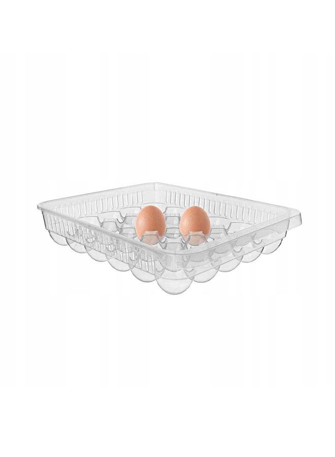 Hobby Life صندوق تخزين 30 بيضة، سعة الثلاجة 30 بيضة - Image 2