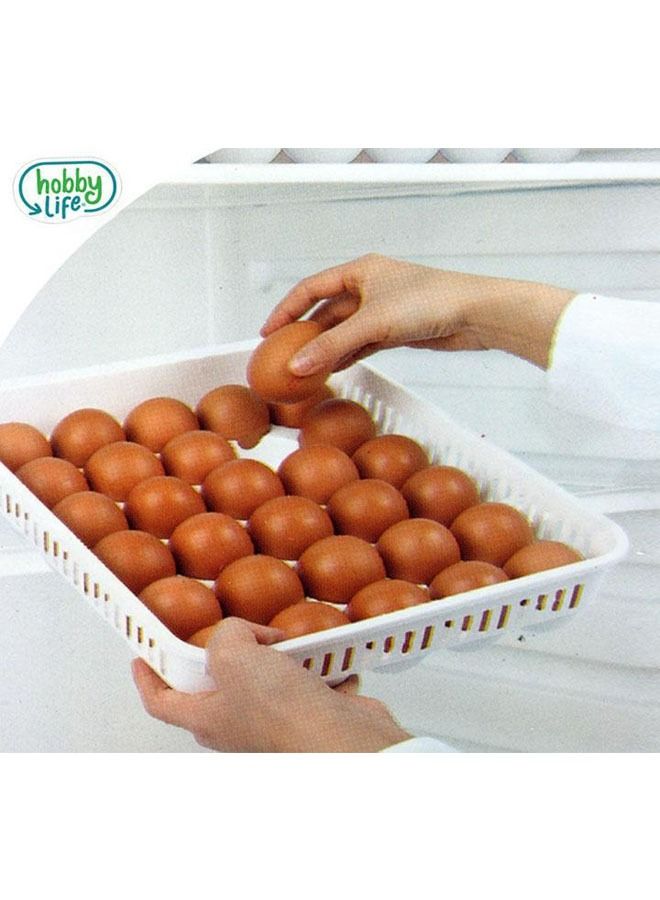 Hobby Life صندوق تخزين 30 بيضة، سعة الثلاجة 30 بيضة - Image 3
