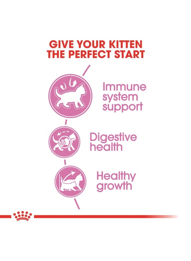 رويال كانين طعام القطط الجاف رويال كانين - 10 كجم - Image 3