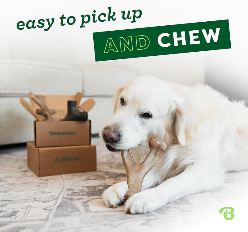 Benebone Small Holiday 4-Pack Dog Chew Toys for Aggressive Chewers, Made in USA, 60lbs and Under - Image 2
