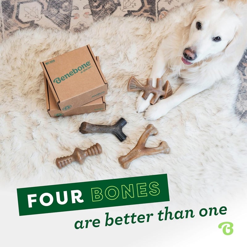 Benebone Small Holiday 4-Pack Dog Chew Toys for Aggressive Chewers, Made in USA, 60lbs and Under - Image 5