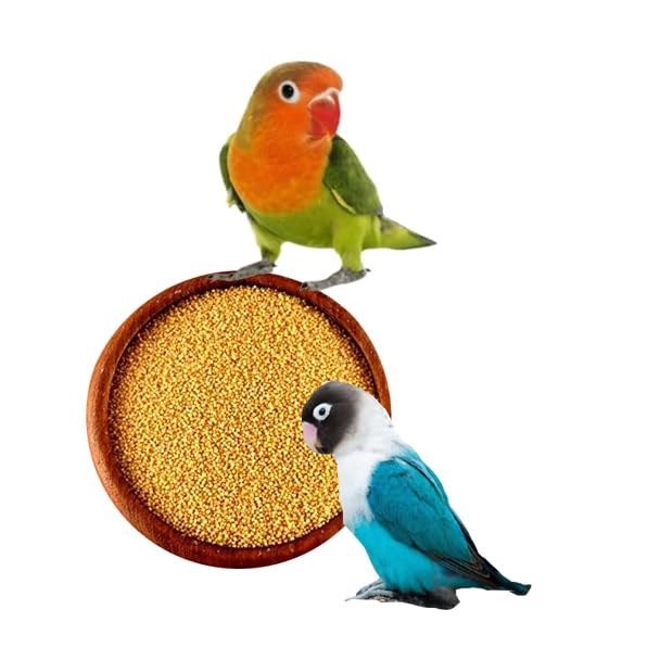 PMK Foxtail Millet | Kangni Seed | 250g | Yellow Millet Small Bird Food for Cocktail, Lovebirds, Finches, Munias, Parakeets, Parrots, Quails, Sparrows & Doves - Pack of 1 - Image 1