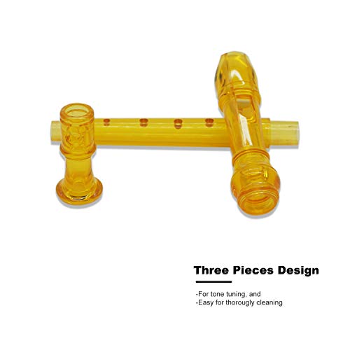 ENGIEGEE SJOYS ENGIEGEE 8-Hole Soprano Descant Recorder Kids Music Flute with Cleaning Rod & Case Bag For School Student Home Entertainment Transparent Orange - Image 2