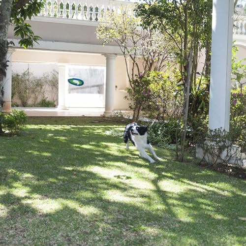 Chuckit! Lite Flight Dog Fetch Toy, Large (10 Inch Diameter) - Image 3