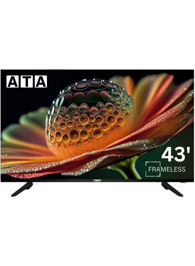 ATA 43 Inch FHD Standard LED TV, Frameless Design, Black - ATA43FLN - Image 1