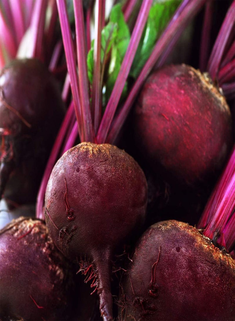 GGOOT Red Beetroot"Karmazyn" - Coated Seeds - - Image 1