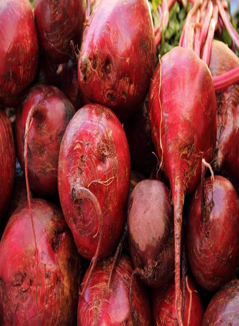 GGOOT Red Beetroot"Karmazyn" - Coated Seeds - - Image 2