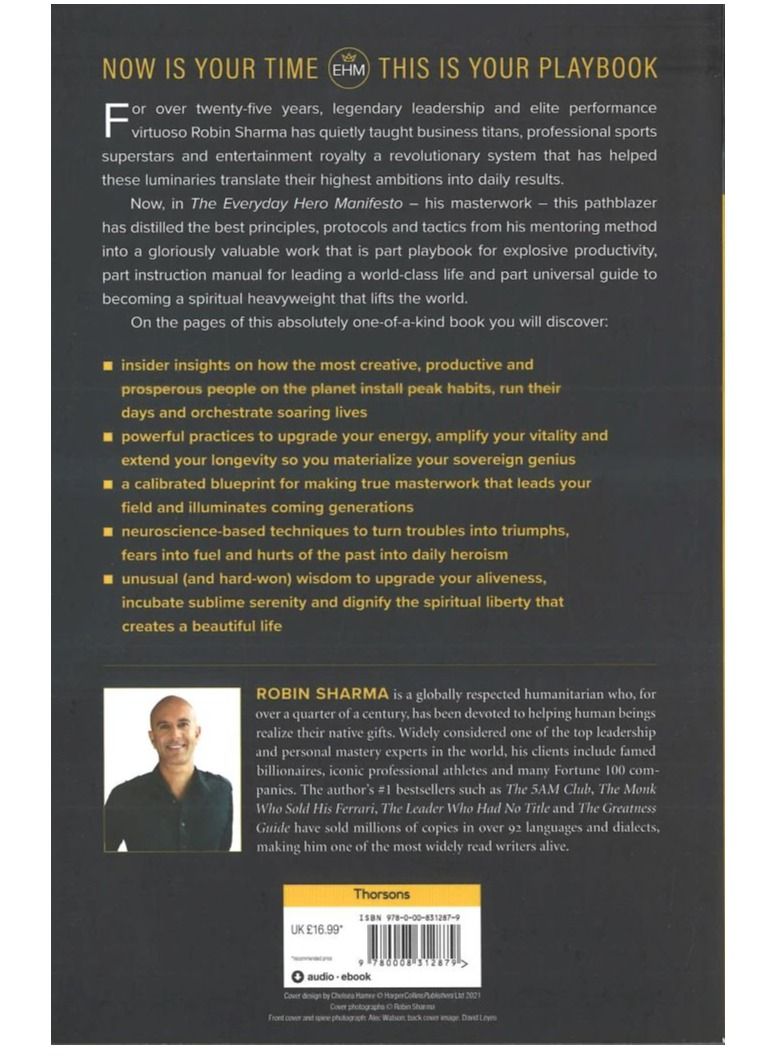 The Everyday Hero Manifesto : Activate Your Positivity, Maximize Your Productivity, Serve The World  - Image 2