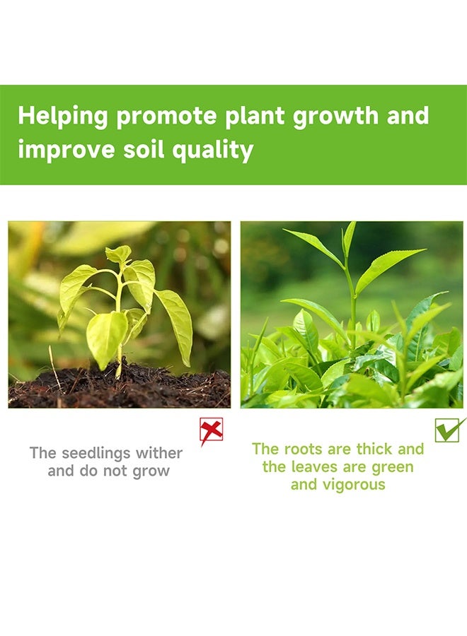 MOONSPRY 100ml Plant Nutrient Solution, Natural Liquid Fertilizer And Plant, Vegetable Plant Fertilisers, Nutrient Solution, Plant Growth Enhancer For all leaf plants Soils, Plants, Hydroponic And Garden Care  - Image 4