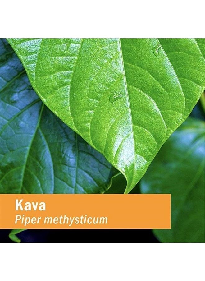 HERB PHARM Kava Root Liquid Extract to Reduce Stress and Promote Relaxation - 4 Ounce  - Image 1