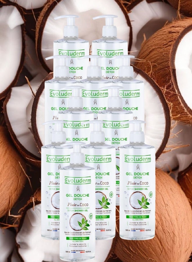 إيفو لوديرم 11 قطع جل الاستحمام إيفولوديرم بلوي دي كوكو ديتوكس 500مل - Image 1