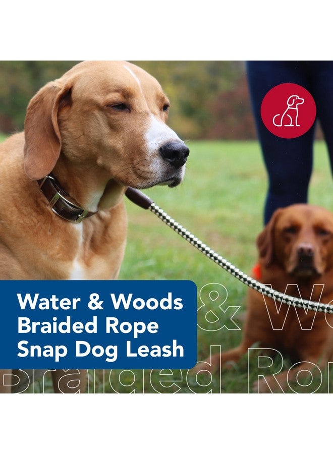 Coastal Water & Woods Braided Rope Snap Dog Leash by Coastal Pet - Durable Leash for Dog - Comfortable Pet Leash - Classic Swivel Snap for Tangle-Free Walks - Green, 1/2" x 6' - Image 2